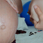 pregnant milk