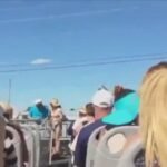Open top bus tour, Crazy double decker bus