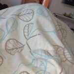 I woke him up with a blowjob!