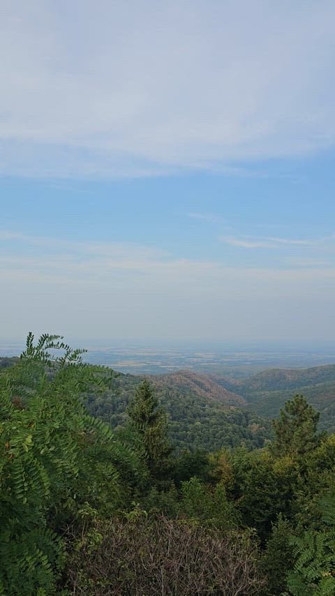 What a view!