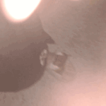 Sucking my bros cock outside