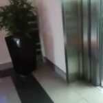 Having fun in the elevator